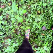 cumberland river shit 4 lost in woods pulsiferpaprocki