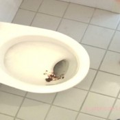 Naturalscatgirls - Monique The Sweetest Shit Cleaner In The Universe