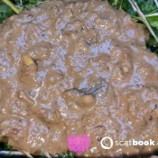 Kittyskatt Messy Camping Accident Kitty Klitt