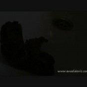 Ana Didovic Nice Big Fat Turd