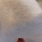 Janira Wolfe Just Smelling