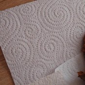 Scat 503 Churros On The Floor Sweet_lily_84 Sweet Lily