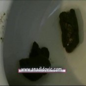 Ana Didovic Two Days Habits