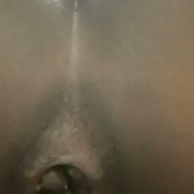 Welovedee Another One Queen Dee