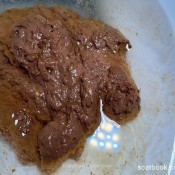 Pulsiferpaprocki Sloppy Wet Toilet Shit Pulsifer Paprocki