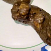 Pulsiferpaprocki Firm Lil Sausage Pulsifer Paprocki