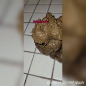 Mzjiggly Mzjigglygoddess Poopie Mama Gassyjiggly