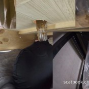 Goddess Ceres - The Ultimate Human Toilet Setup Configuration