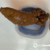 Arabscatgoddess Huge Load In Little Pot Miss Minxxx