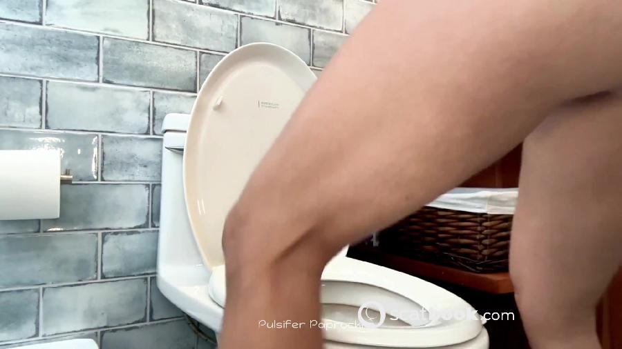 Big Snake In Costa Rica Pulsiferpaprocki