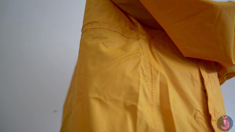 Summer Fox Farting In My Raincoat