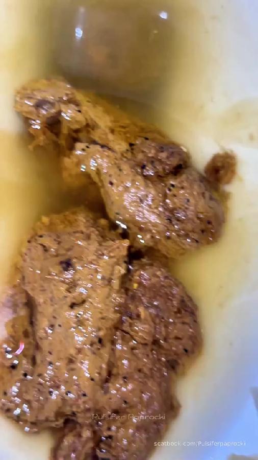 Grabbing My Thickest Log Toilet Pulsiferpaprocki Pulsifer Paprocki